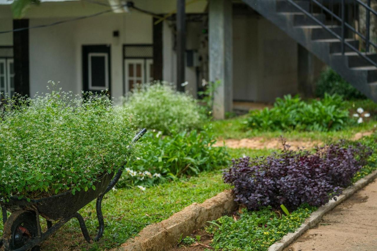 Ella Forest Paradise Hotel エクステリア 写真